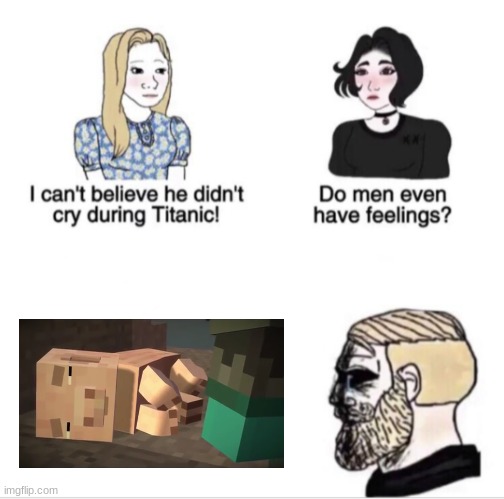 Girls vs Boys sad meme template | image tagged in girls vs boys sad meme template,minecraft story mode | made w/ Imgflip meme maker