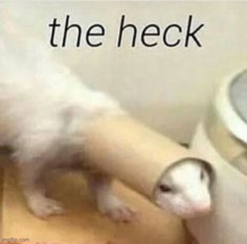 made w/ Imgflip meme maker