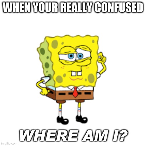 when your confused | WHEN YOUR REALLY CONFUSED; WHERE AM I? | image tagged in memes | made w/ Imgflip meme maker
