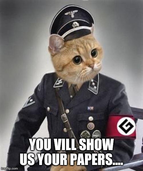 Grammar Nazi Cat | YOU VILL SHOW US YOUR PAPERS.... | image tagged in grammar nazi cat | made w/ Imgflip meme maker