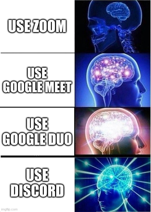 yes true schools be like | USE ZOOM; USE GOOGLE MEET; USE GOOGLE DUO; USE DISCORD | image tagged in memes,expanding brain | made w/ Imgflip meme maker