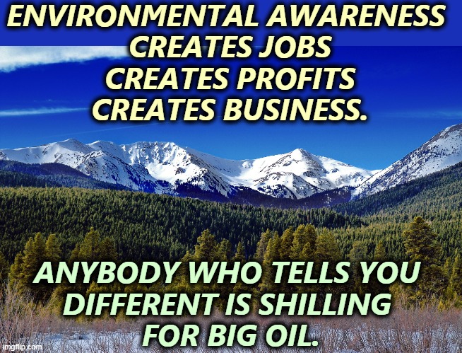 Environmental investing is smart investing. | ENVIRONMENTAL AWARENESS 
CREATES JOBS
CREATES PROFITS
CREATES BUSINESS. ANYBODY WHO TELLS YOU 
DIFFERENT IS SHILLING 
FOR BIG OIL. | image tagged in environment,clean,air,water,jobs,economy | made w/ Imgflip meme maker