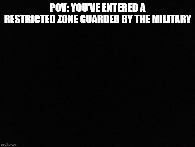 Blank black |  POV: YOU'VE ENTERED A RESTRICTED ZONE GUARDED BY THE MILITARY | image tagged in blank black | made w/ Imgflip meme maker