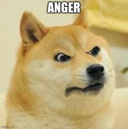 angry doge | ANGER | image tagged in angry doge | made w/ Imgflip meme maker