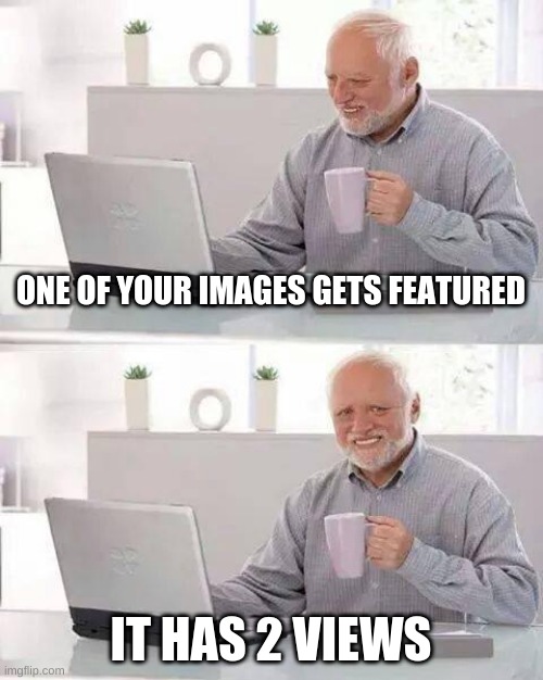 WHY | ONE OF YOUR IMAGES GETS FEATURED; IT HAS 2 VIEWS | image tagged in memes,hide the pain harold,thisimagehasalotoftags,yeet,featured image,i have 16 followers | made w/ Imgflip meme maker