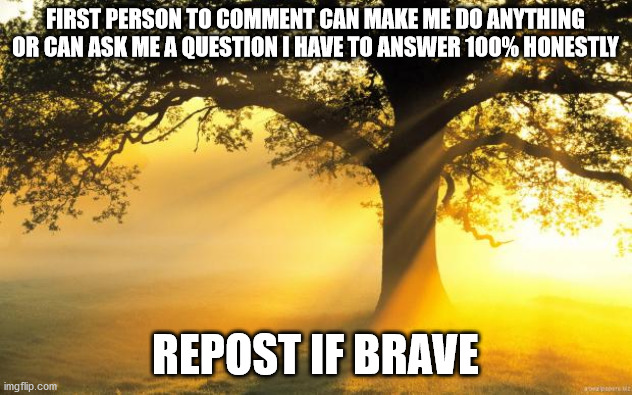 nature | FIRST PERSON TO COMMENT CAN MAKE ME DO ANYTHING OR CAN ASK ME A QUESTION I HAVE TO ANSWER 100% HONESTLY; REPOST IF BRAVE | image tagged in nature | made w/ Imgflip meme maker