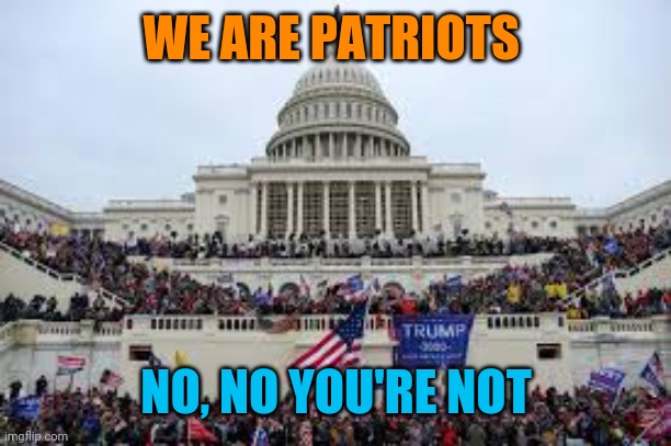 Capitol on January 6 | WE ARE PATRIOTS; NO, NO YOU'RE NOT | image tagged in capitol on january 6 | made w/ Imgflip meme maker