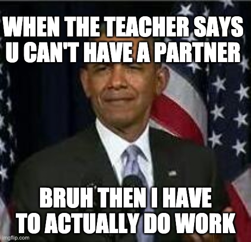 Bruh | WHEN THE TEACHER SAYS U CAN'T HAVE A PARTNER; BRUH THEN I HAVE TO ACTUALLY DO WORK | image tagged in bruh | made w/ Imgflip meme maker