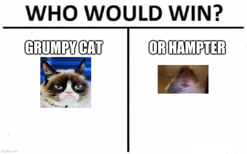 Who Would Win? | GRUMPY CAT; OR HAMPTER | image tagged in memes,who would win | made w/ Imgflip meme maker