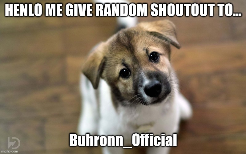 HENLOOOOOOO | HENLO ME GIVE RANDOM SHOUTOUT TO... Buhronn_Official | image tagged in cute dog | made w/ Imgflip meme maker