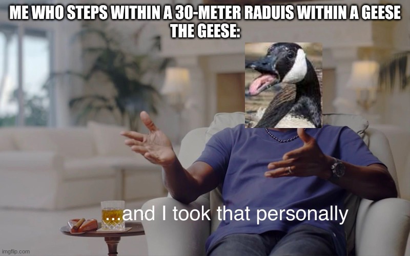 I can't go near them without being mauled | ME WHO STEPS WITHIN A 30-METER RADUIS WITHIN A GEESE
THE GEESE: | image tagged in and i took that personally,relatable,funny,geese,fun | made w/ Imgflip meme maker