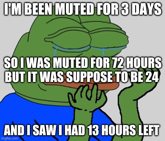 WHAT | I'M BEEN MUTED FOR 3 DAYS; SO I WAS MUTED FOR 72 HOURS BUT IT WAS SUPPOSE TO BE 24; AND I SAW I HAD 13 HOURS LEFT | image tagged in pepe cry,sad,pepe the frog,oof | made w/ Imgflip meme maker