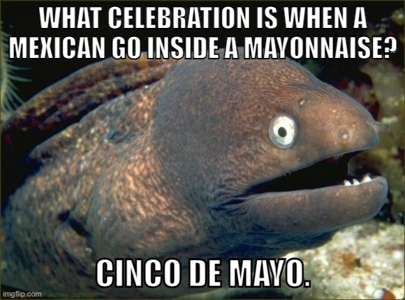 Bad Joke Eel | WHAT CELEBRATION IS WHEN A MEXICAN GO INSIDE A MAYONNAISE? CINCO DE MAYO. | image tagged in memes,bad joke eel | made w/ Imgflip meme maker