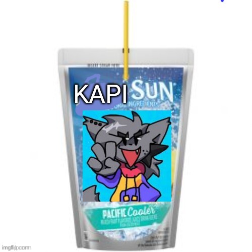 Kapisun | image tagged in kapisun | made w/ Imgflip meme maker