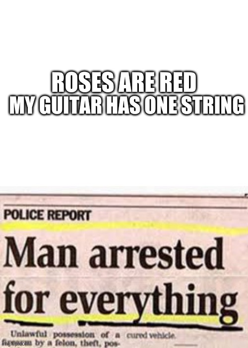 ROSES ARE RED; MY GUITAR HAS ONE STRING | image tagged in blank white template,lol | made w/ Imgflip meme maker