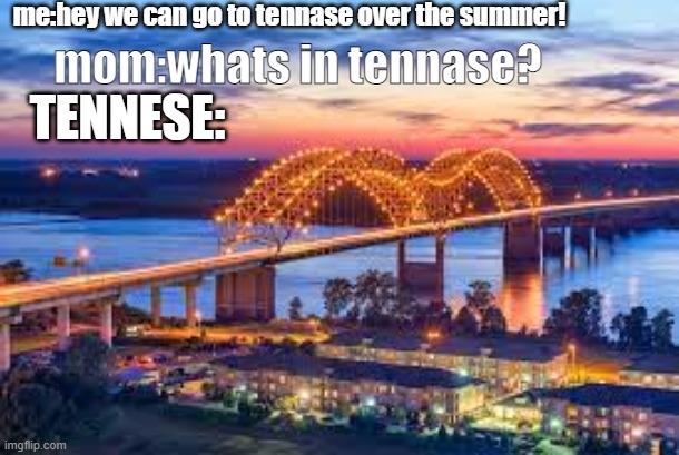 whats in here? really mom? | me:hey we can go to tennase over the summer! mom:whats in tennase? TENNESE: | image tagged in idk what realy discribes tis | made w/ Imgflip meme maker