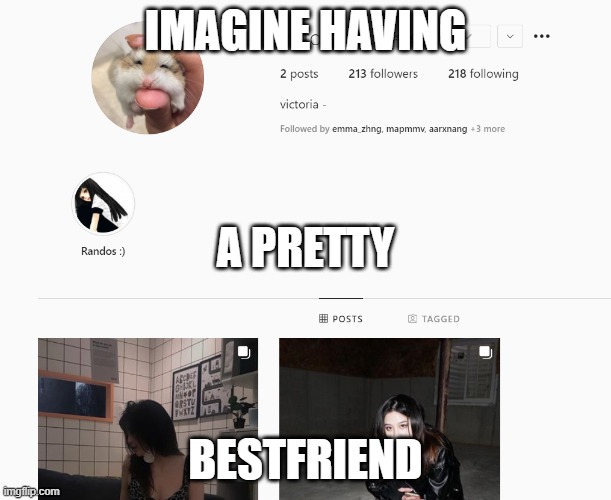 vic | IMAGINE HAVING; A PRETTY; BESTFRIEND | image tagged in victoria | made w/ Imgflip meme maker