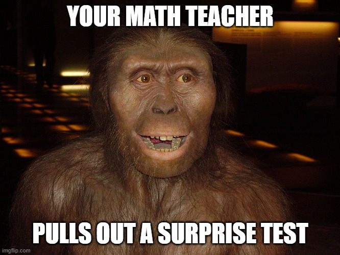 suprise | YOUR MATH TEACHER; PULLS OUT A SURPRISE TEST | image tagged in unga | made w/ Imgflip meme maker
