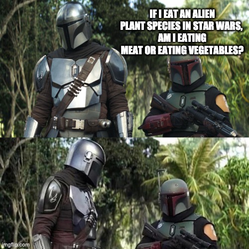 Mandalorian : Boba Fett Said weird thing | IF I EAT AN ALIEN PLANT SPECIES IN STAR WARS, 
AM I EATING MEAT OR EATING VEGETABLES? | image tagged in mandalorian boba fett said weird thing,boba fett | made w/ Imgflip meme maker