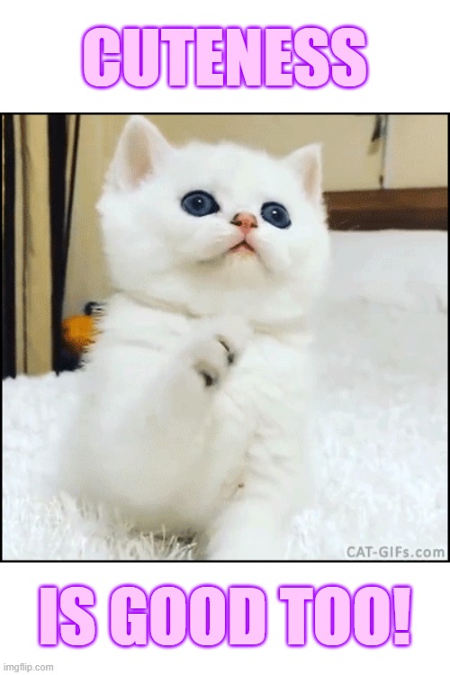 CUTENESS IS GOOD TOO! | made w/ Imgflip meme maker