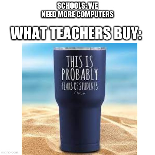 Schools. | SCHOOLS: WE NEED MORE COMPUTERS; WHAT TEACHERS BUY: | image tagged in fun | made w/ Imgflip meme maker