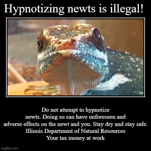 Hypnotizing Newts is Illegal | Hypnotizing newts is illegal! | Do not attempt to hypnotize newts. Doing so can have unforeseen and adverse effects on the newt and you. Sta | image tagged in funny,demotivationals | made w/ Imgflip demotivational maker