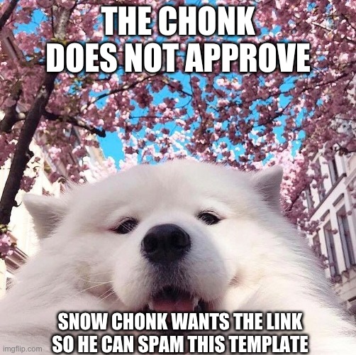 chonker | THE CHONK DOES NOT APPROVE SNOW CHONK WANTS THE LINK SO HE CAN SPAM THIS TEMPLATE | image tagged in chonker | made w/ Imgflip meme maker