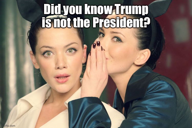 did you know | Did you know Trump is not the President? | image tagged in did you know | made w/ Imgflip meme maker
