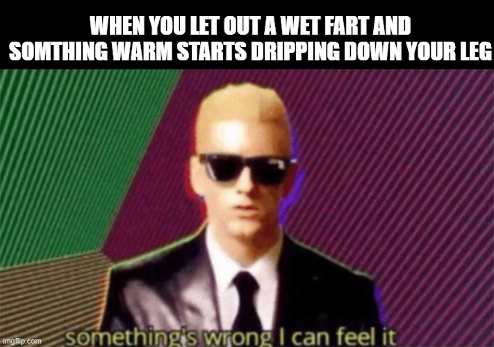 Lol this happed to me in kindergarden | WHEN YOU LET OUT A WET FART AND SOMTHING WARM STARTS DRIPPING DOWN YOUR LEG | image tagged in something's wrong i can feel it | made w/ Imgflip meme maker