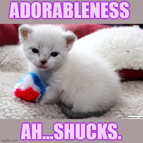 ADORABLENESS AH...SHUCKS. | made w/ Imgflip meme maker