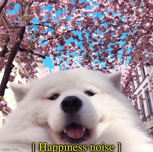 chonker | [ Happiness noise ] | image tagged in chonker | made w/ Imgflip meme maker