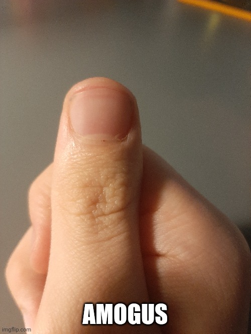 :) | AMOGUS | made w/ Imgflip meme maker