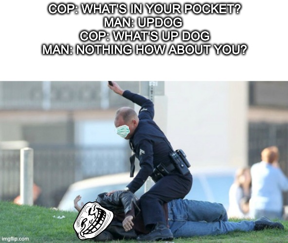 Cop Beating | COP: WHAT'S IN YOUR POCKET?
MAN: UPDOG 
COP: WHAT'S UP DOG
MAN: NOTHING HOW ABOUT YOU? | image tagged in cop beating | made w/ Imgflip meme maker