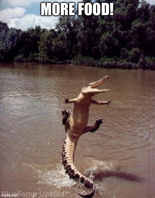 Happy Crocodile | MORE FOOD! | image tagged in happy crocodile | made w/ Imgflip meme maker