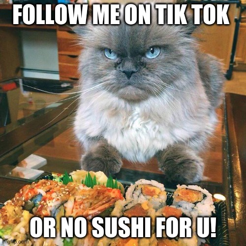 No Sushi For You! | FOLLOW ME ON TIK TOK; OR NO SUSHI FOR U! | image tagged in no sushi for you | made w/ Imgflip meme maker