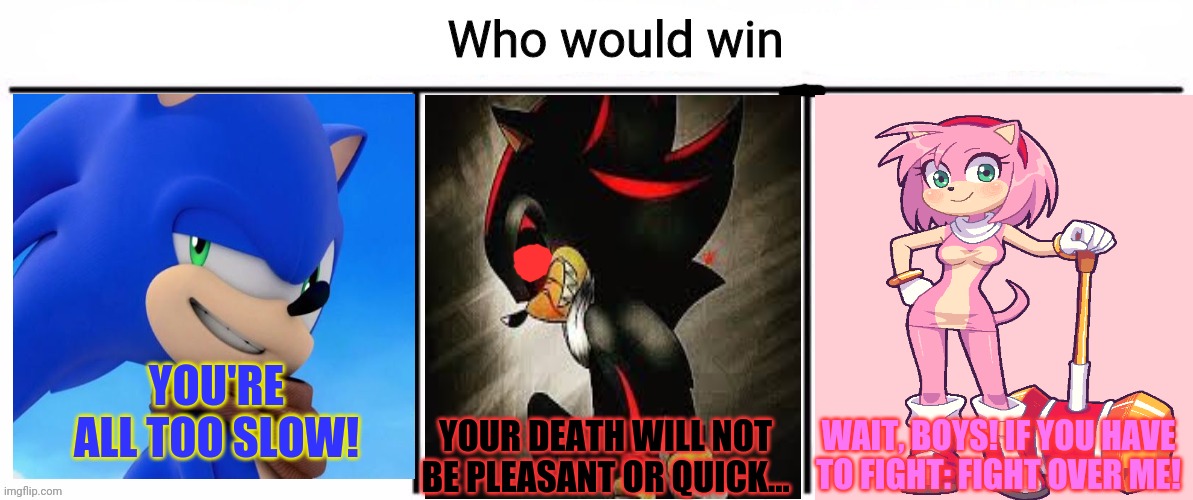 Sonic vs. Shadow.exe vs. Amy | YOU'RE ALL TOO SLOW! YOUR DEATH WILL NOT BE PLEASANT OR QUICK... WAIT, BOYS! IF YOU HAVE TO FIGHT: FIGHT OVER ME! | image tagged in 3x who would win,sonic the hedgehog,amy rose,shadowexe,who would win,vs | made w/ Imgflip meme maker