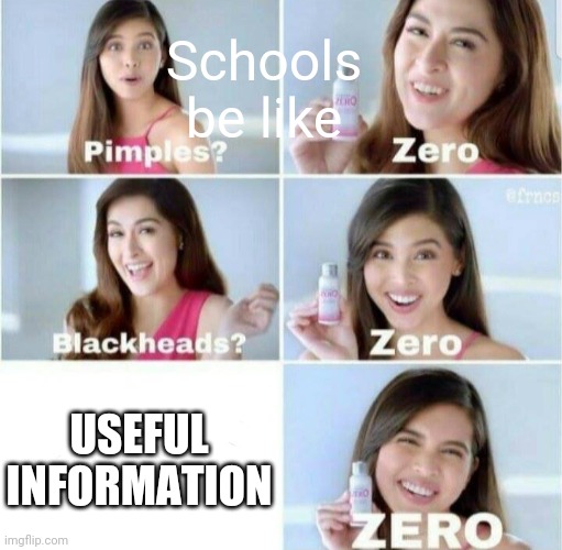 zero useful information | Schools be like; USEFUL INFORMATION | image tagged in pimples zero | made w/ Imgflip meme maker