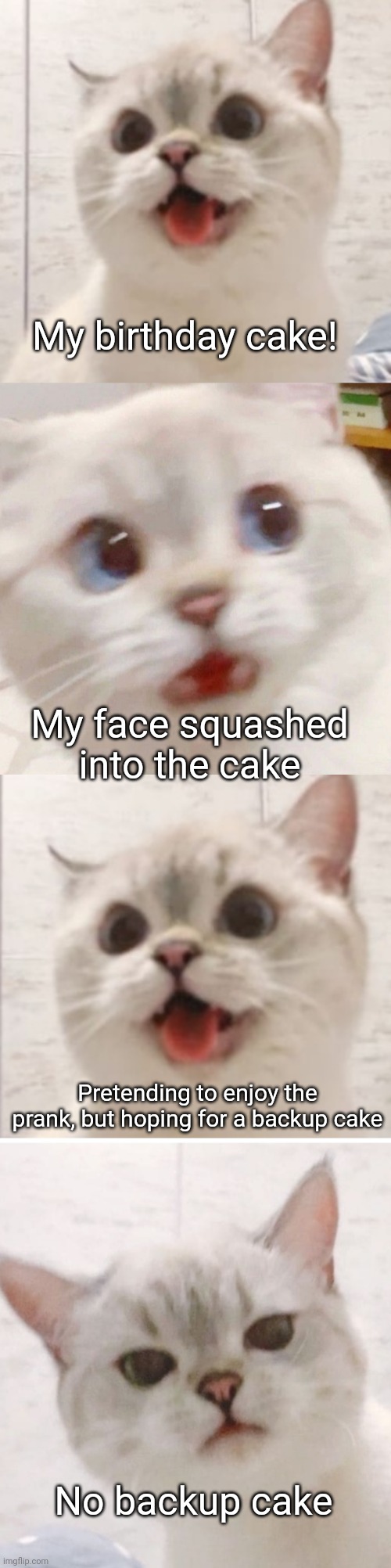 Pranks are funny, but I want cake | My birthday cake! My face squashed into the cake; Pretending to enjoy the prank, but hoping for a backup cake; No backup cake | image tagged in prank,birthday cake,cake,funny memes,smiling cat,sad cat | made w/ Imgflip meme maker