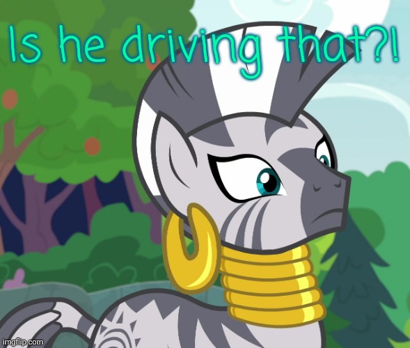 Concerned Zecora (MLP) | Is he driving that?! | image tagged in concerned zecora mlp | made w/ Imgflip meme maker
