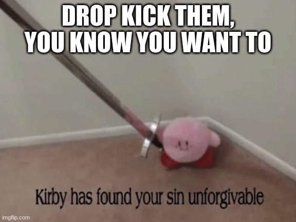 Kirby has found your sin unforgivable | DROP KICK THEM, YOU KNOW YOU WANT TO | image tagged in kirby has found your sin unforgivable | made w/ Imgflip meme maker