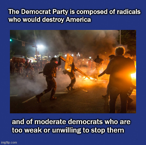 The Democrat Party is composed of radicals | The Democrat Party is composed of radicals 
who would destroy America; and of moderate democrats who are 
too weak or unwilling to stop them | image tagged in democrats,redicals | made w/ Imgflip meme maker