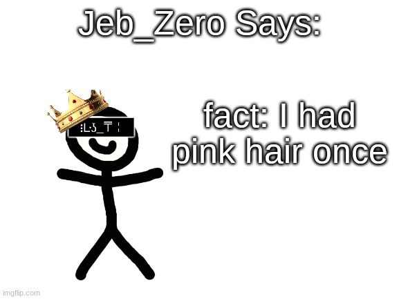 Jeb_Zero | fact: I had pink hair once | image tagged in jeb_zero | made w/ Imgflip meme maker