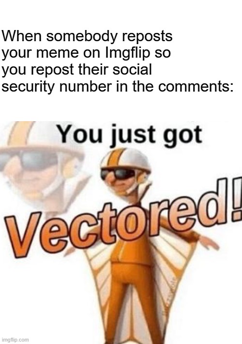 Don't repost memes | When somebody reposts your meme on Imgflip so you repost their social security number in the comments: | image tagged in you just got vectored,memes,funny,imgflip,comments section | made w/ Imgflip meme maker