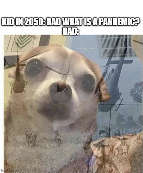 pandemic | KID IN 2050: DAD WHAT IS A PANDEMIC?
DAD: | image tagged in ptsd chihuahua | made w/ Imgflip meme maker