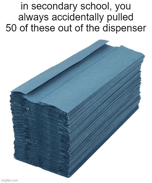 lol this always happened to me | in secondary school, you always accidentally pulled 50 of these out of the dispenser | image tagged in memes,school | made w/ Imgflip meme maker