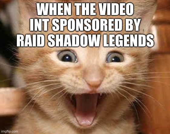 (): |  WHEN THE VIDEO INT SPONSORED BY RAID SHADOW LEGENDS | image tagged in memes,excited cat | made w/ Imgflip meme maker