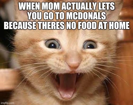 mom theres food at home me /: | WHEN MOM ACTUALLY LETS YOU GO TO MCDONALS BECAUSE THERES NO FOOD AT HOME | image tagged in memes,excited cat | made w/ Imgflip meme maker