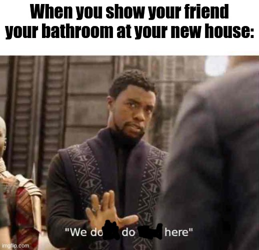 Awkward silence |  When you show your friend your bathroom at your new house: | image tagged in we dont do that here,dodohere,wakanda,marvel,black panther,memes | made w/ Imgflip meme maker