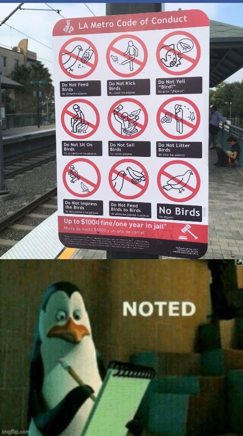 The birds sign | image tagged in noted,funny signs,memes,meme,birds,bird | made w/ Imgflip meme maker