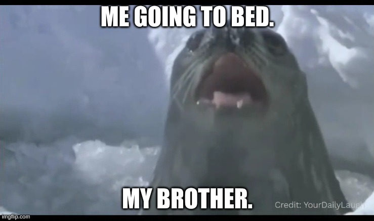 me brother | ME GOING TO BED. MY BROTHER. | image tagged in memes | made w/ Imgflip meme maker